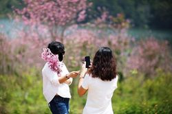 Những kiểu phá hoại khiến Đà Lạt trở nên xấu xí