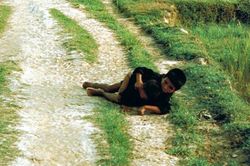 50 năm thảm sát Mỹ Lai: Phía sau những bức ảnh làm thay đổi cuộc chiến