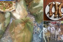 Chợ thịt mèo Việt Nam lên báo Anh