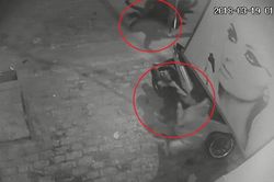 Clip: Trộm chó mất hết tính người, quăng thòng lọng cướp chó kéo lê cả chủ