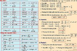 Nhìn lại loạt công thức Toán học 'kinh điển' này, đố bạn hiểu vì sao mình lại thi đậu đại học?