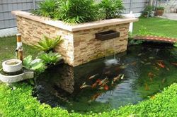 10 thiết kế hồ cá mini tuyệt đẹp cho nhà phố