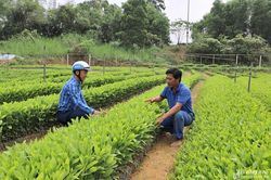 Xã Kỳ Sơn (Tân Kỳ): Xây dựng nông thôn mới, nâng cao mức sống người dân