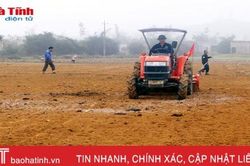 Vì sao hết thời vụ, Hà Tĩnh mới gieo trỉa 50% diện tích lạc xuân?!