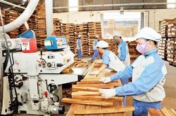 Doanh nghiệp ngành gỗ ngày càng có nhiều cơ hội phát triển
