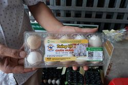 HTX Chiêu Viên làm giàu từ... trứng vịt