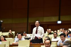Chính sách phát triển nông nghiệp đang được Chính phủ tập trung hoàn thiện
