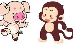 Những người tuổi Thân và tuổi Hợi có hợp nhau không?