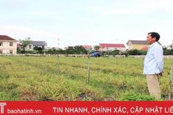 Liên kết sản xuất nông nghiệp ở Hà Tĩnh (bài 1): 'Ăn xổi ở thì'!