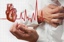 Chế độ ăn giàu protein tăng nguy cơ mắc bệnh tim