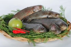 3 món ngon từ cá rô đồng, ăn mãi không biết chán