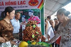 Hải Dương thành công lớn trong tiêu thụ vải thiều năm 2018