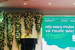 Thuốc bảo vệ thực vật đi về đâu khi vẫn 'rau hai luống, lợn hai chuồng'?