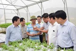 Nghệ An chia sẻ kinh nghiệm xây dựng nông thôn mới với tỉnh Sơn La