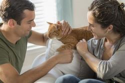 Bạn trai 'mê' chó mèo hơn người yêu