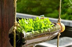 4 ý tưởng kinh doanh nhỏ mà lãi lớn