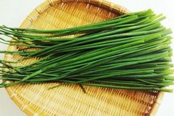 6 loại cây lá trong vườn chữa bong gân cực kỳ hiệu nghiệm