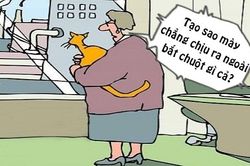 Sáng cười: Con gái bất bình vì bị mẹ so sánh với mèo lười