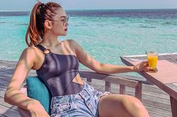 Minh Hằng ví mình là con cá heo khiến dân mang hết cơ hội 'bóc phốt'
