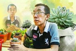 Chàng trai u não bán sen đá kiếm tiền chữa bệnh: 'Nhìn sen đá kiên cường, tôi thấy mình nên sống nghị lực hơn'
