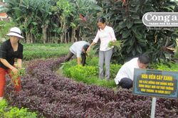 Chi bộ Bắc An 'học tập và làm theo Bác'