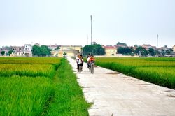 Vĩnh Yên (Vĩnh Phúc): Tạo đà cho nông thôn mới