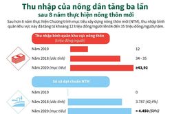 Thu nhập của nông dân tăng 3 lần sau 8 năm