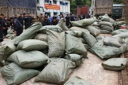 Lạng Sơn tăng cường chống buôn lậu qua biên giới dịp cuối năm