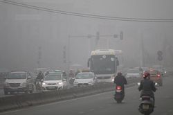 Thời tiết ngày 14/1: Hà Nội sáng sớm có sương mù, trời nắng ấm