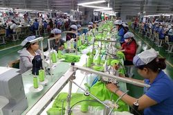 Chuyên gia Italy: EVFTA mở đầu kỷ nguyên mới của hợp tác Việt Nam-EU