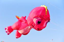 Diều khổng lồ no gió trên bầu trời Long An ngày đầu xuân