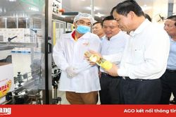 Doanh thu Sao Mai (ASM) tăng mạnh 6 tháng đầu năm