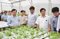 Triển khai thực hiện Đề án xây dựng Nam Đàn thành huyện nông thôn mới kiểu mẫu
