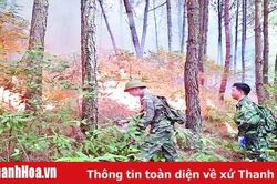 Ban Quản lý rừng phòng hộ Tĩnh Gia: