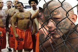10 sự thật gây sốc về băng đảng Mafia Mexico - những kẻ khát máu nhất hành tinh
