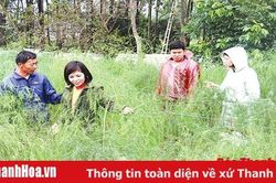 Xây dựng nông thôn mới - nhìn từ những vùng quê đáng sống