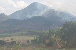 Gia Lai: Cháy rừng, gần 100 người tham gia dập lửa.