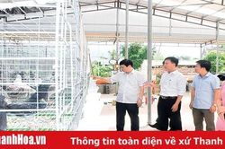 Bài 3: Gắn sắp xếp với thu gọn đầu mối, tinh giản biên chế, nâng cao chất lượng hoạt động