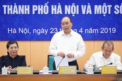 Mỗi địa phương phải dám làm, dám chịu trách nhiệm