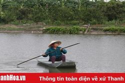 Ứng dụng khoa học công nghệ trong các mô hình khuyến nông