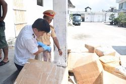 Xe khách biển Lào chở 'lậu' 1,6 tấn nội tạng động vật