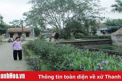 Xã Đồng Tiến xây dựng nông thôn mới nâng cao