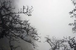 Phần thưởng ngọt ngào cho khát vọng hoang sơ