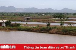 Huyện Nga Sơn phát triển nuôi trồng thủy sản