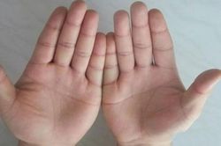 Sở hữu 3 đường chỉ tay này, sự nghiệp sẽ 'phất lên như diều gặp gió' nếu xuất ngoại