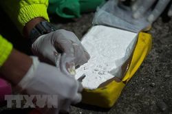Châu Âu đau đầu trước tình trạng buôn bán ma túy 'sôi động'