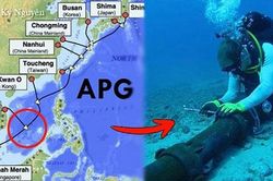 Cáp quang biển APG đã được khôi phục 100% dung lượng