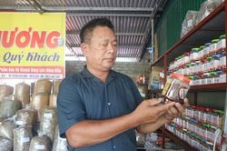 Làng nghề hải sản khô, 'đại sứ' du lịch Cửa Lò