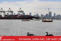Australia thu giữ lô ma túy trị giá kỷ lục 840 triệu USD