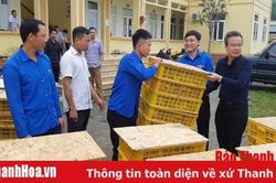 Trao 8000 con gà giống hỗ trợ thanh niên ở 2 huyện miền núi